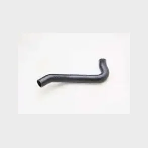 K�lerslange nederste Corvette (Eck. 1211267 - A3584)