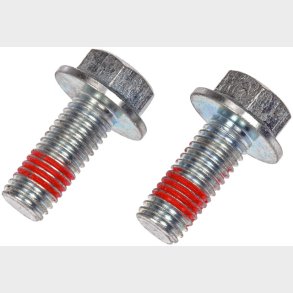 Monteringsbolt bremsecaliper s�t m/2 bolte GM truck 1999 til 2014 (Dorman 14009)