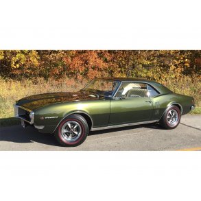 Bagrude grn tonet Camaro/Firebird hardtop 1967 til 1969 (DB3814G)