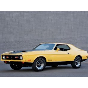 Frontrude 2 tonet Mustang/Cougar Hardtop/Convertible 1971 til 1973 (DW801GB - DW773GB)