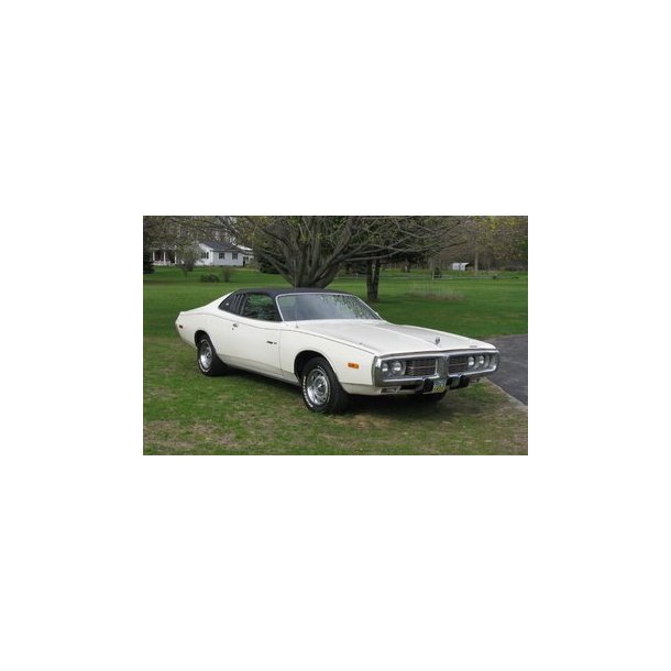 Frontrude 2 tonet Charger/Coronet, Plymouth Roadrunner/Satellite 1971 til 1974 (DW776N)
