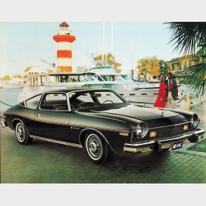 Frontrude 2 tonet AMC Matador 2 d�rs 1974 til 1978 (DW829GB)