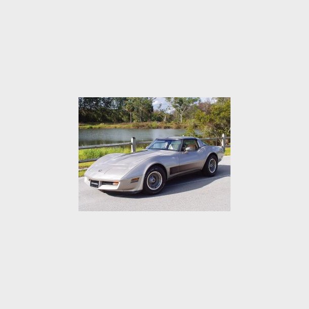 Frontrude 2 tonet Chevrolet Corvette C3 Coupe/Convertible 1978 til 1982 (DW893GB)