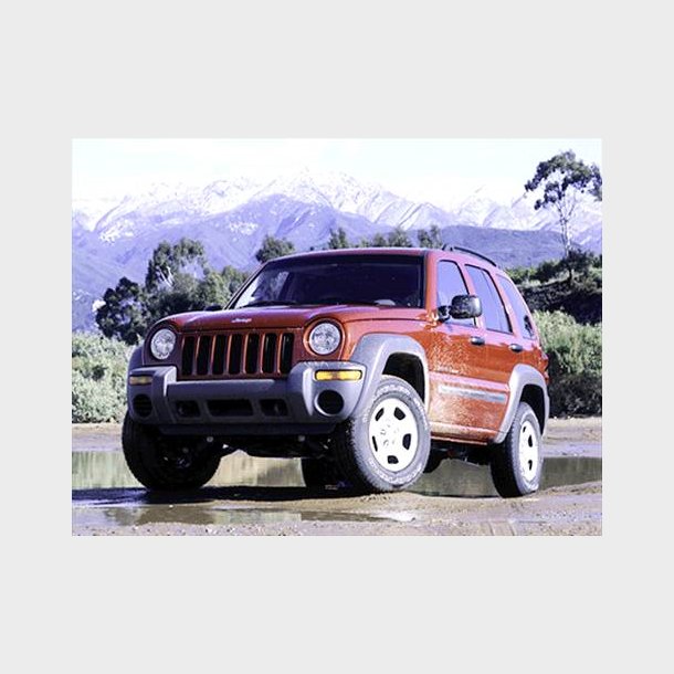 D�r h�jre bag Jeep Cherokee/Liberty 2002 til 2006 (Brugt Texas import)