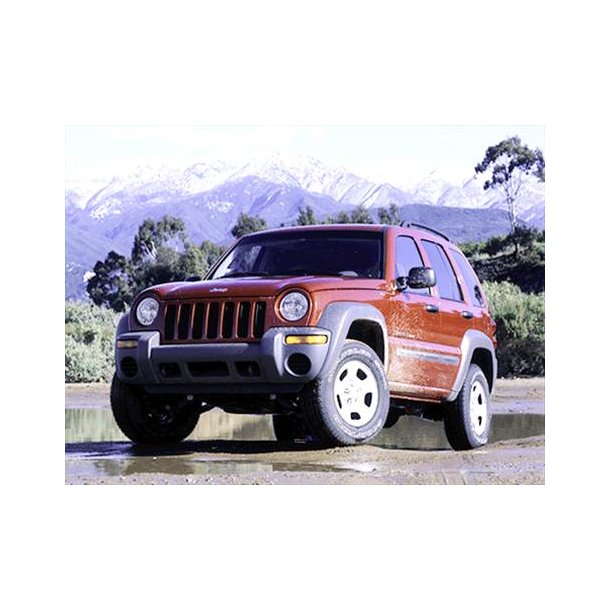 Dr venstre bag Jeep Cherokee/Liberty 2002 til 2006 (Brugt Texas import)