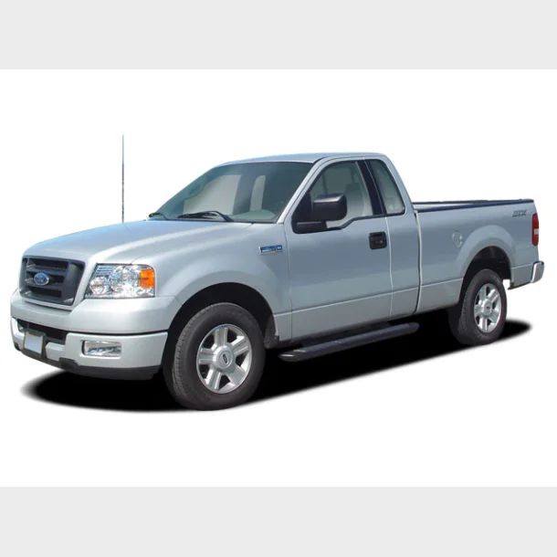 D�r venstre Ford F150 2004 til 2008 (Brugt Texas import)