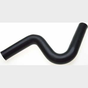 K�lerslange (Gates 21063)