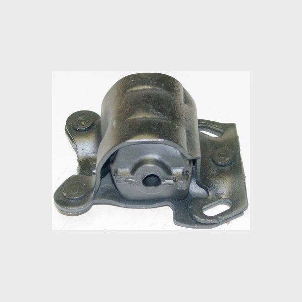 Motoroph�ng GM 1980 til 2005 (2436)