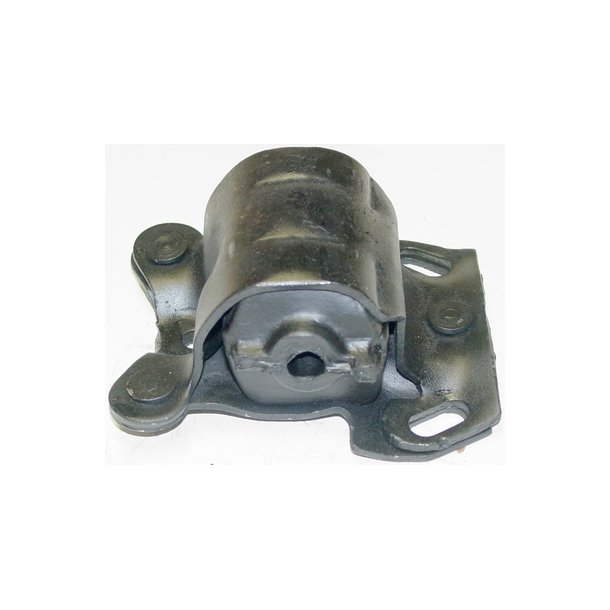 Motorophng GM 1980 til 2005 (2436)