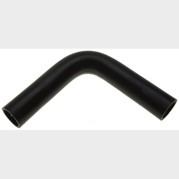 K�lerslange (Gates 24718)