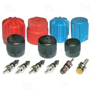 Valve and Cap Kit w/ R12 or R134a