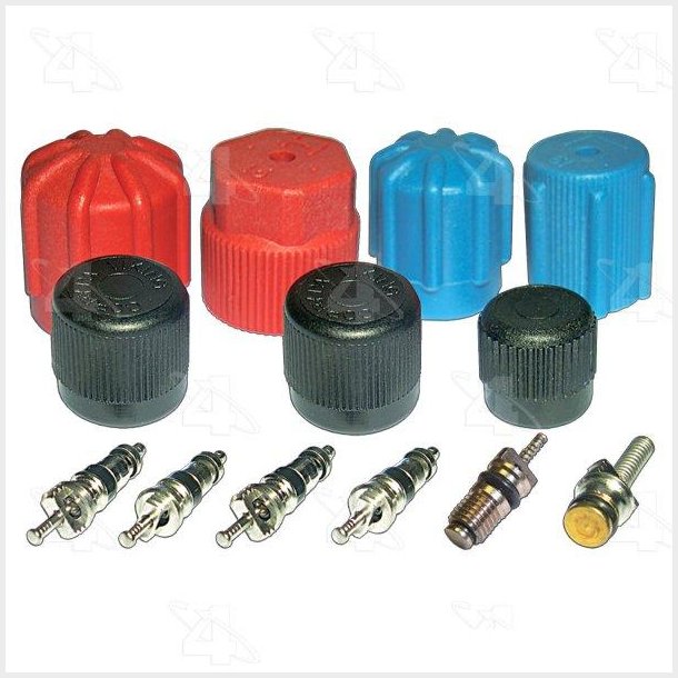 Valve and Cap Kit w/ R12 or R134a