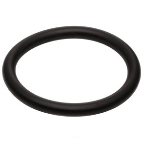 O-ring (Felpro 402)