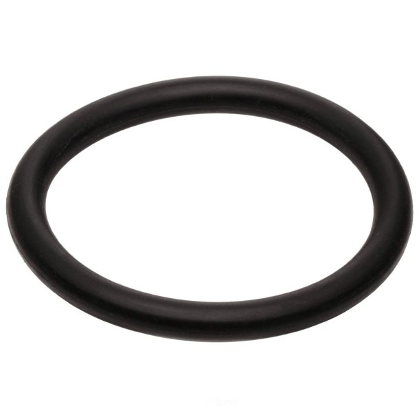 O-ring (Felpro 402)