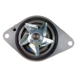 Vandpumpe 1992-2006 FORD F650- F800 (Gates 41176HD)