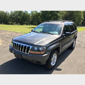 D�r venstre for Jeep Grand Cherokee 1999 til 2004 (Brugt Texas import)