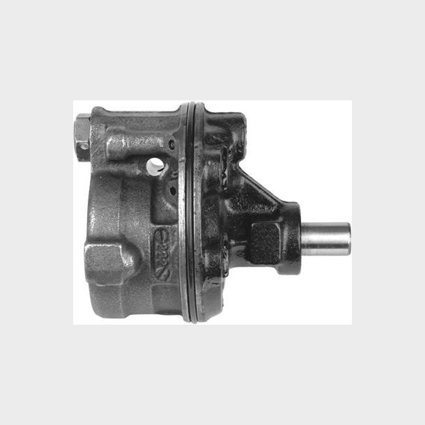 Servopumpe (A1C 20-661 - BBB 7310118)