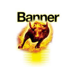 Batteri Banner model 850 70AH &amp; koldstart 730SAE med side poler Starting Bull 850