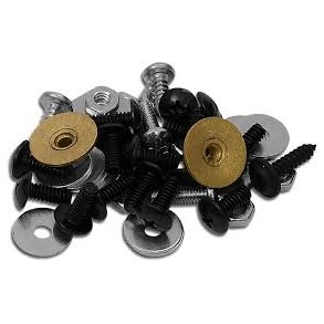 C3 1968-1975 Chevrolet Corvette Weatherstrip Fastener Kit. Convertible Top 50 Piece (TFA34109)