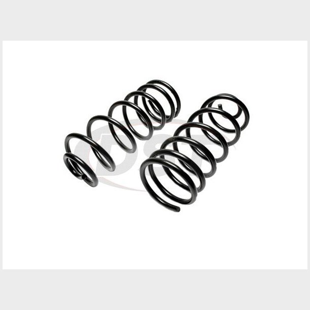 Bagfjeder s�t (Moog CC511)