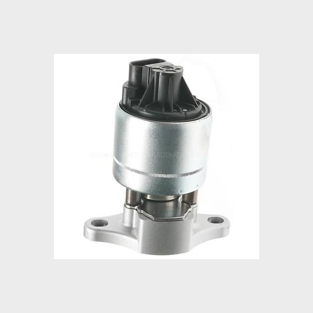 EGR ventil GM 1993 til 2005 (EGV589)