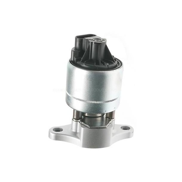 EGR ventil GM 1993 til 2005 (EGV589)