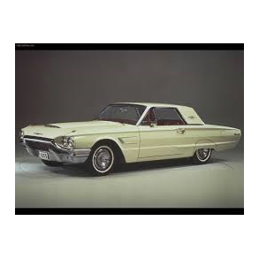 Frontrude Ford Thunderbird 1964 til 1966 (DW651/WCRD651)