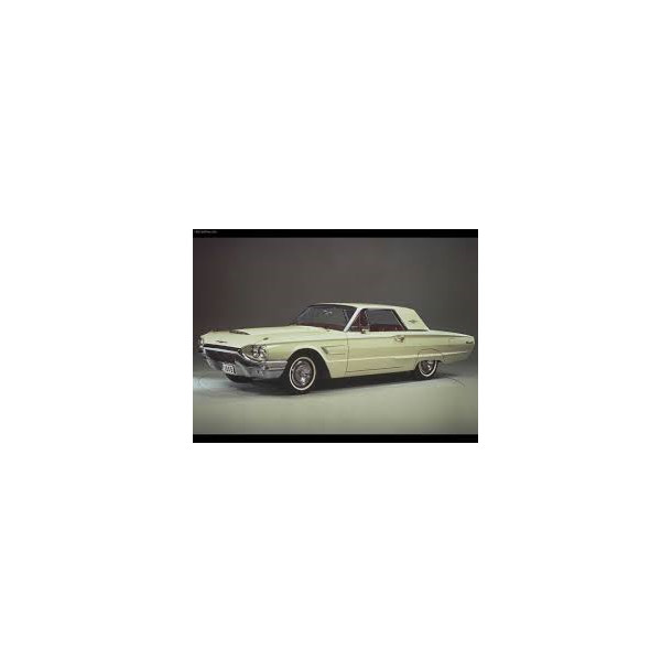 Frontrude Ford Thunderbird 1964 til 1966 (DW651/WCRD651)