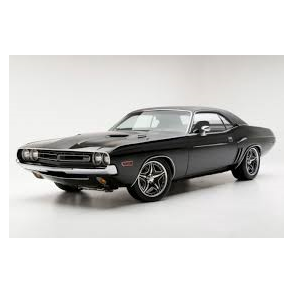 Frontrude 2 tonet Challenger, Barracuda & Cuda 1970 til 1974 (DW758)