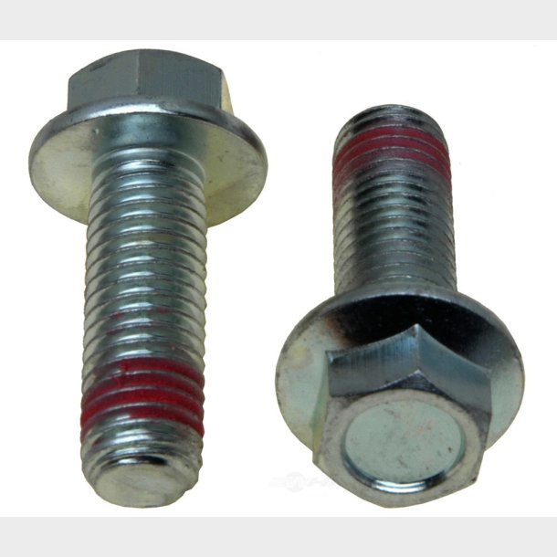 Monteringsbolte caliper (Raybestos H17004)