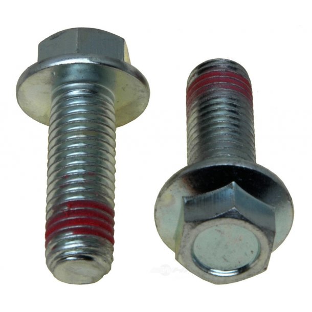 Monteringsbolte caliper (Raybestos H17004)