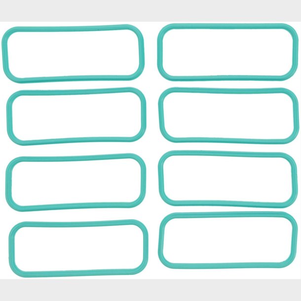 Indsugningspakning GM 2004 til 2007 (Felpro MS96718 - VR MS19430)