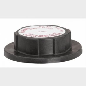 K�lerd�ksel Ford (Motorad T38 - Stant 10238 - Gates 31406 - Motorcraft RS527)