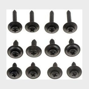 Monteringsskruer til interi�r 12 skruer i 3 forskellige str. i matsort  (Dorman 02409/961215)