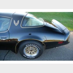 Emblem / decals Pontiac Firebird sail panel decal 1979 til 1980 (NPD C-DT0542 - DT542)