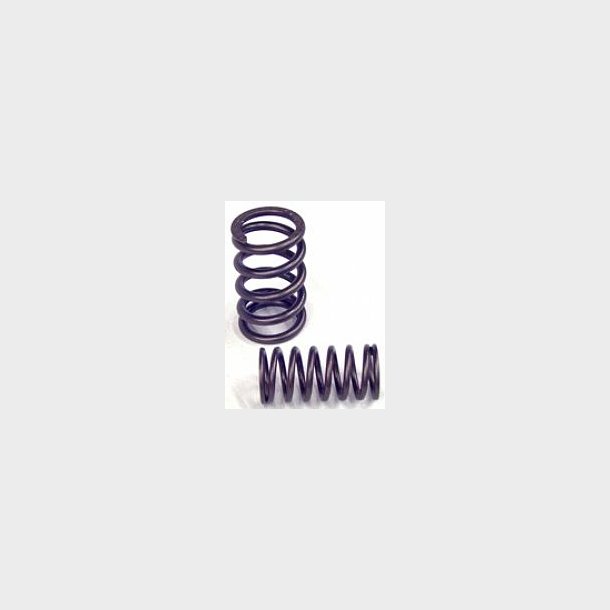 Ventilfjeders�t TA_Performance til Buick 364, 401 &amp; 425" Nailhead Replacement Valve Springs TA1440