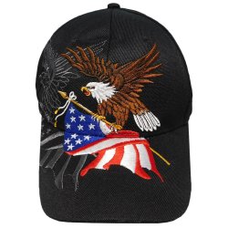 Cap USA Eagle &amp; Flag
